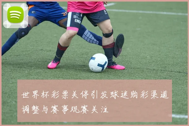 世界杯彩票关停引发球迷购彩渠道调整与赛事观赛关注