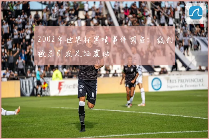 2002年世界杯黑哨事件调查:裁判被杀引发足坛震动