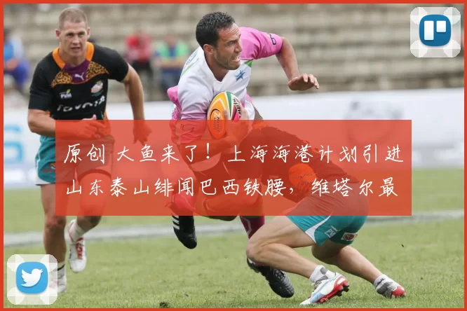 原创 大鱼来了！上海海港计划引进山东泰山绯闻巴西铁腰，维塔尔最佳搭档浮现